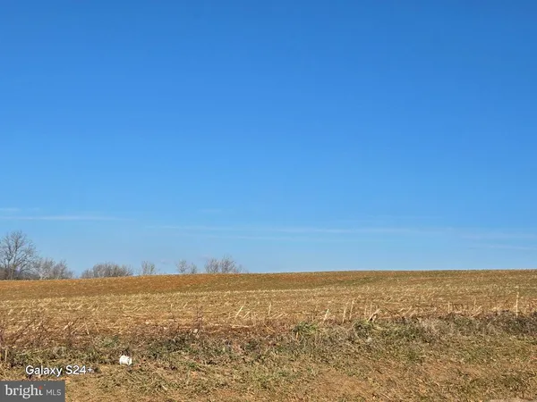 a view of empty yard