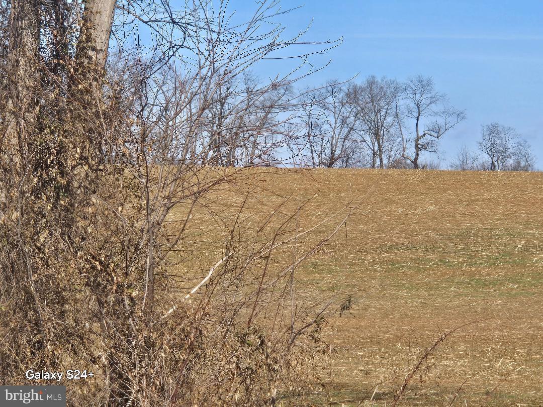 4144 Lander Road Jefferson, MD 21755 - Photo 8 of 13 a view of empty yard