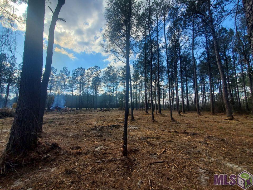 25675 Clyde Blount Road Livingston, LA 70754 - Photo 1 of 7 Gallery Image 1