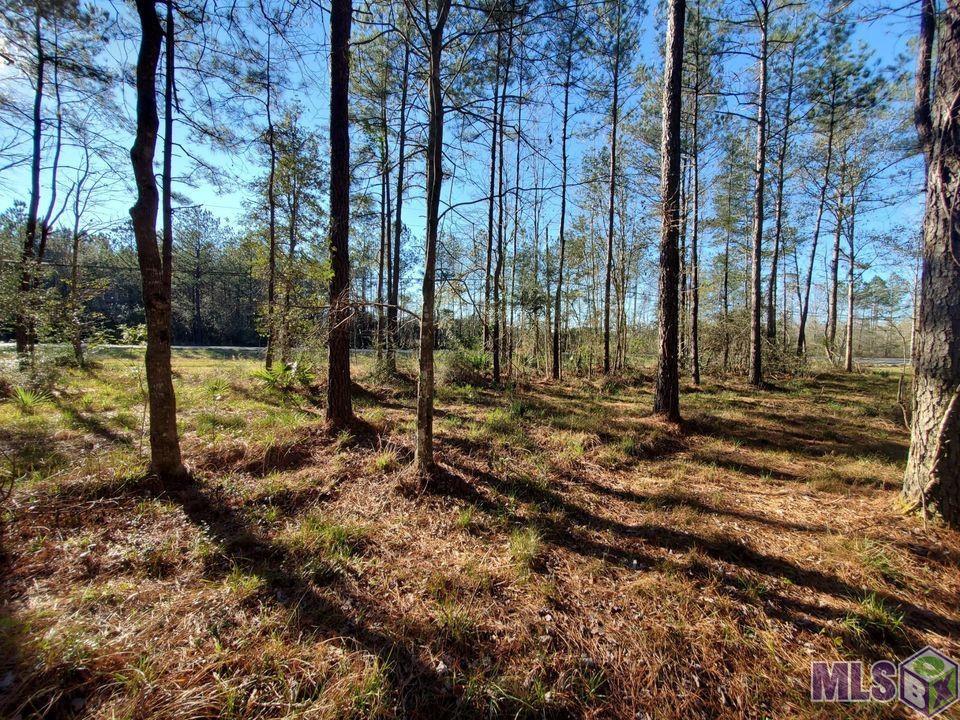 25675 Clyde Blount Road Livingston, LA 70754 - Photo 3 of 7 Gallery Image 3