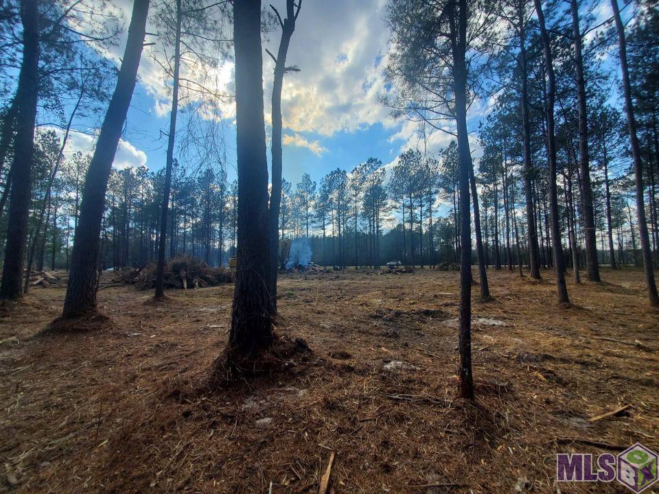 25675 Clyde Blount Road Livingston, LA 70754 - Photo 4 of 7 Gallery Image 4