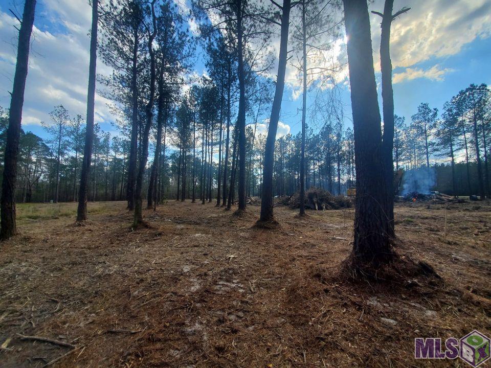 25675 Clyde Blount Road Livingston, LA 70754 - Photo 5 of 7 Gallery Image 5