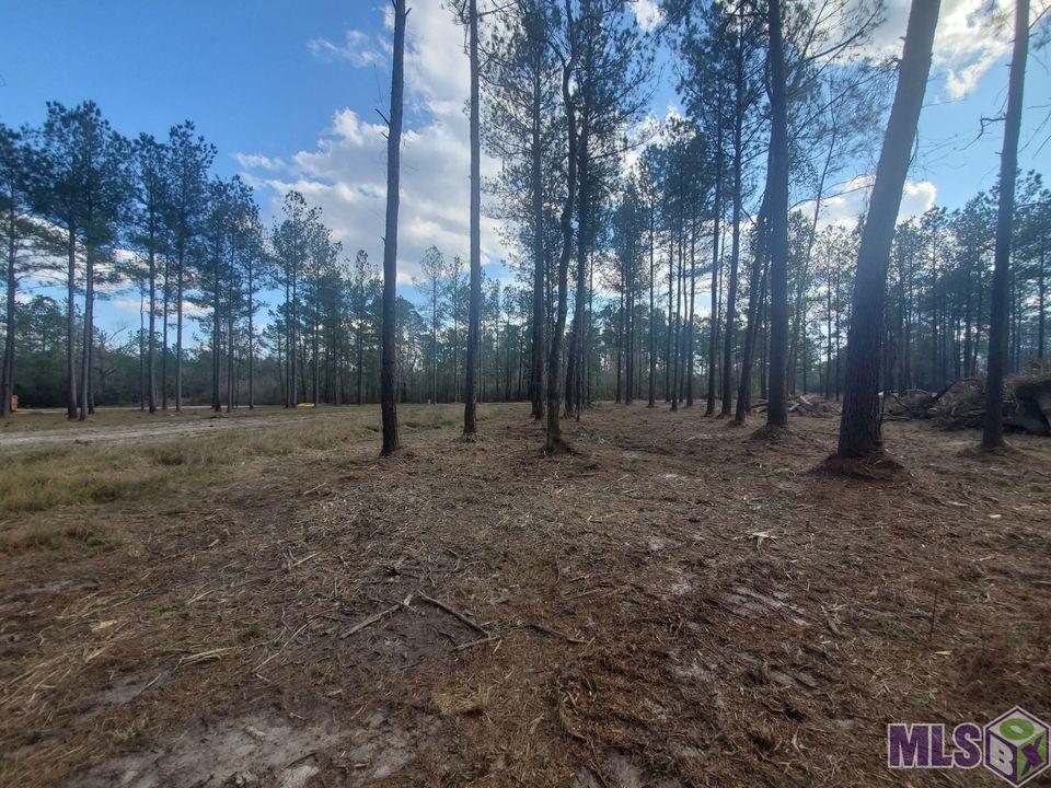 25675 Clyde Blount Road Livingston, LA 70754 - Photo 6 of 7 Gallery Image 6