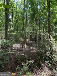 Lot 17 Smith Road Thomaston, GA 30286 - Photo 2 of 3 a view of a forest with trees