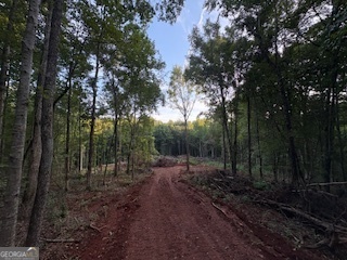 Lot 17 Smith Road Thomaston, GA 30286 - Photo 3 of 3 a view of a forest with trees in the background
