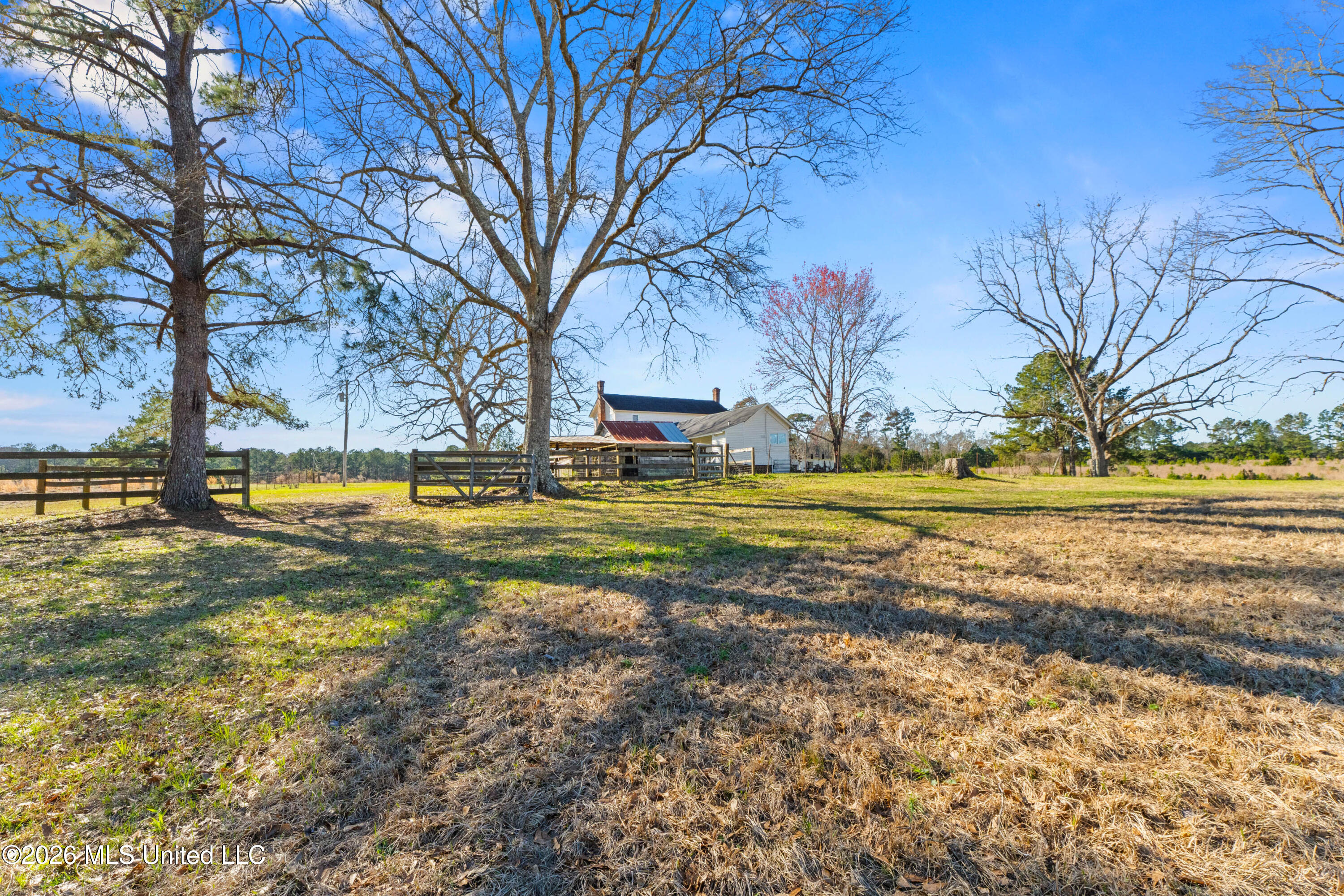 3660 Berwick Cassels Road Gloster, MS 39638 - Photo 37 of 59 2-23-26 Berwick (38)