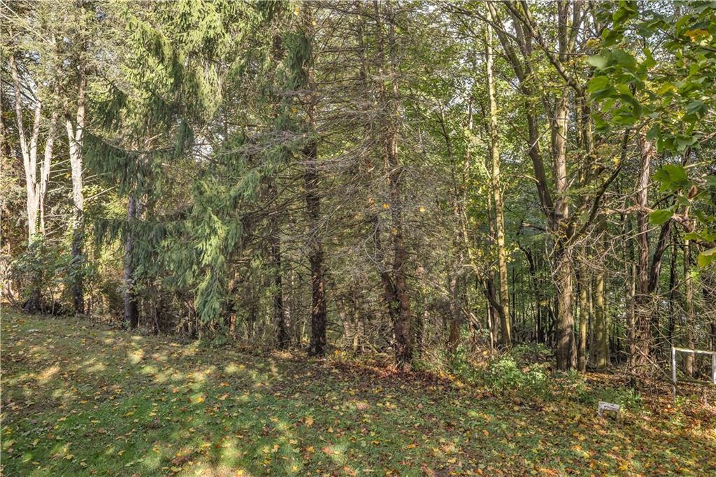 97 Emery Road Fredericktown, PA 15333 - Photo 23 of 23 a view of a yard with large trees