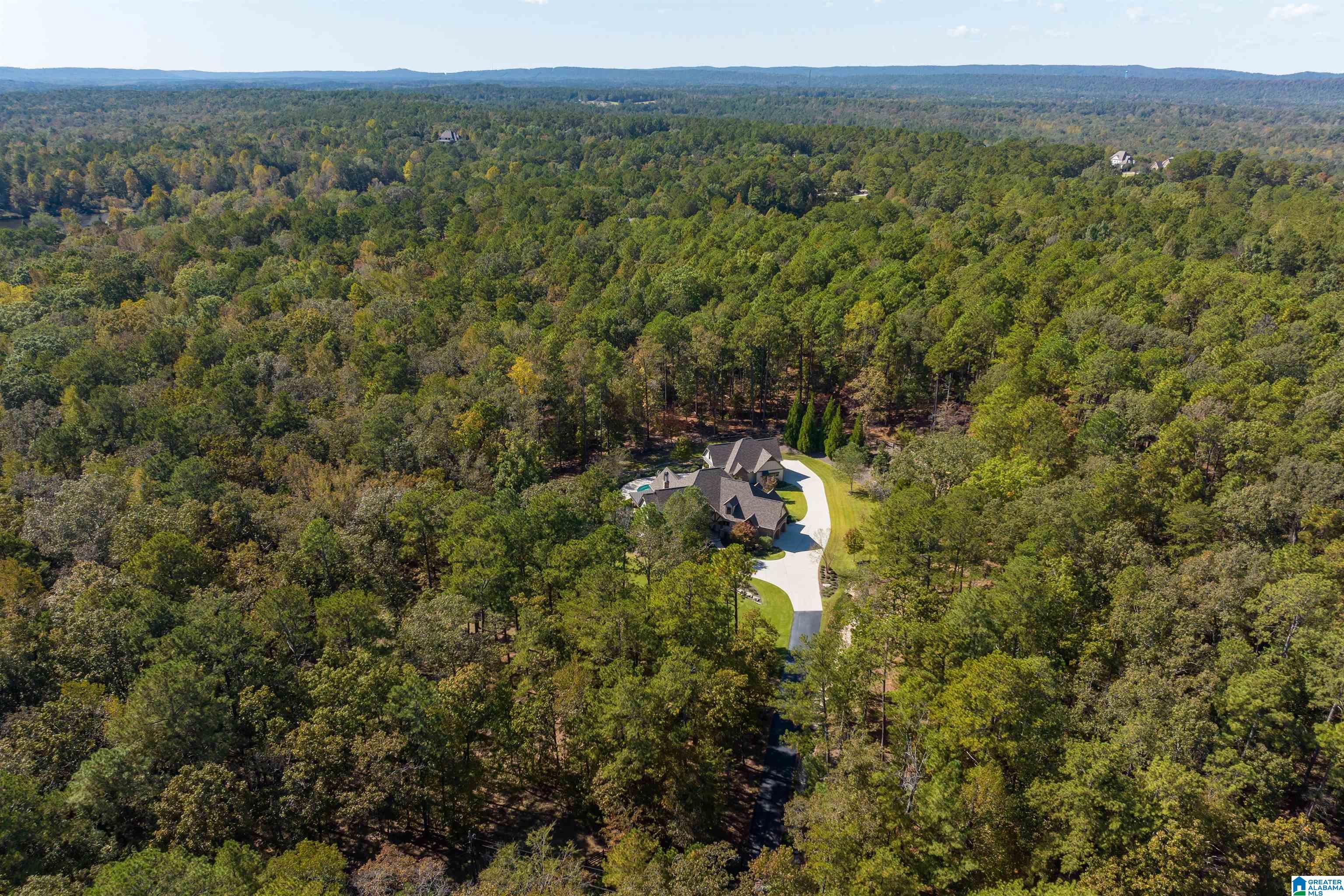 576 Chelsea Forest Road Columbiana, AL 35051 - Photo 65 of 81