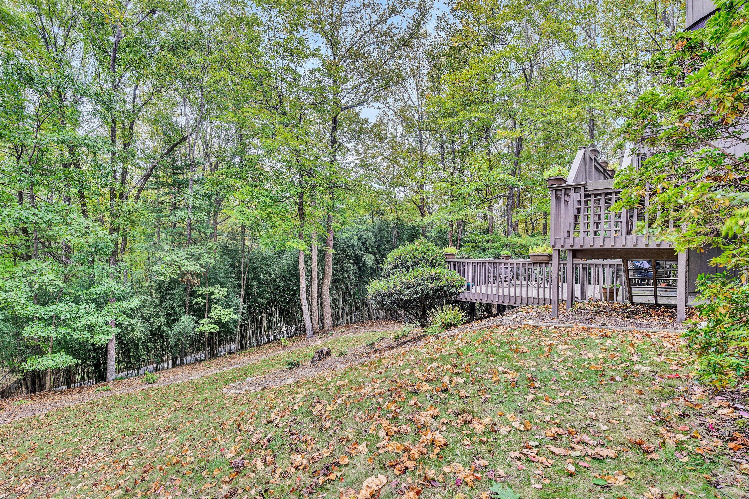 6960 Sugar Rum Ridge Road Roanoke, VA 24018 - Photo 39 of 41 39-DSC08300