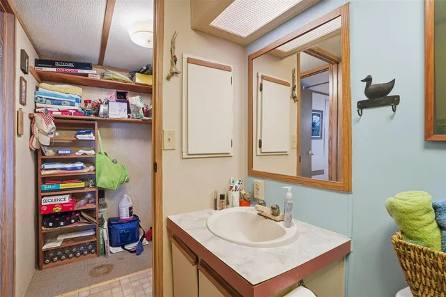 a bathroom with a sink and a mirror