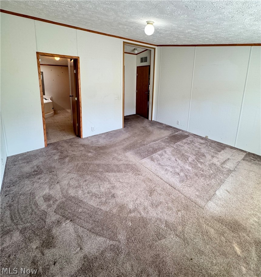 28240 Osborne Road Coolville, OH 45723 - Photo 17 of 29 Unfurnished bedroom with carpet floors, a textured ceiling, ornamental molding, and a closet