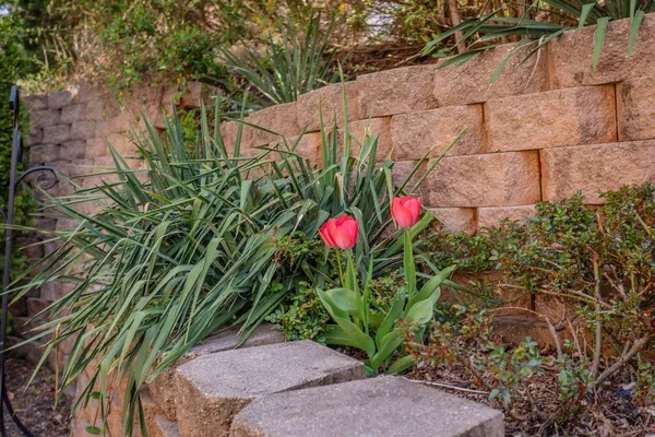 $850,000 | 4270 Ajax Court, Harrisonburg, VA 22801