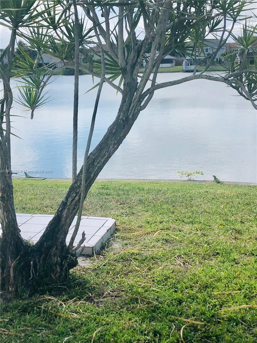 1010 Southwest 99th Avenue Pembroke Pines, FL 33025 - Photo 21 of 22 a view of a yard with a fountain and a large tree