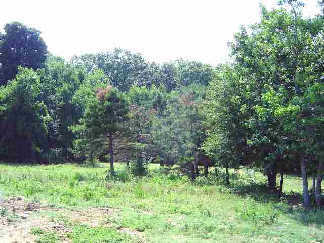 754 Durham Brown Road Seneca, SC 29678 - Photo 7 of 9 Gallery Image 7