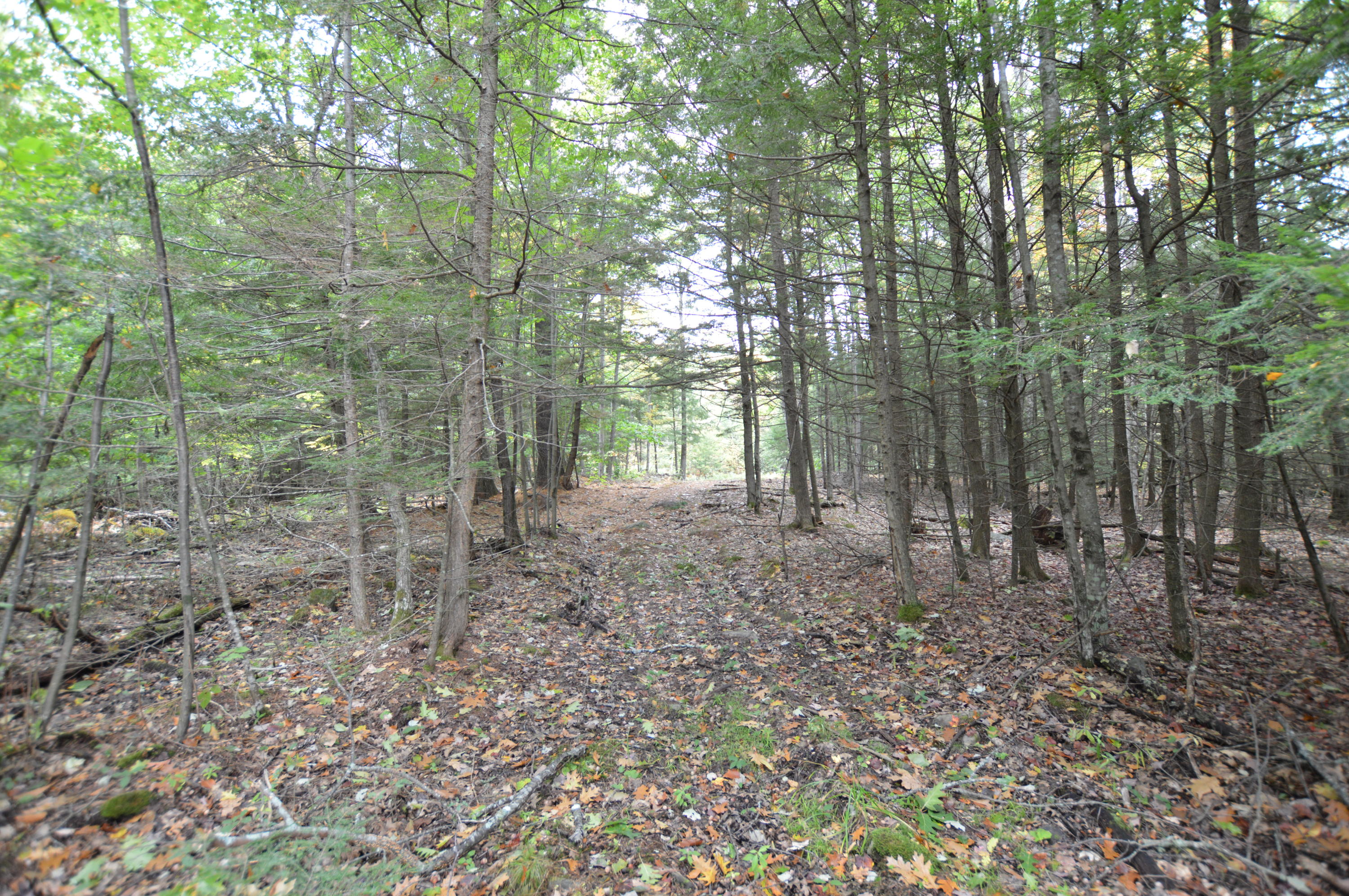 0 Soper Road Winthrop, ME 04364 - Photo 17 of 31 DSC_1419