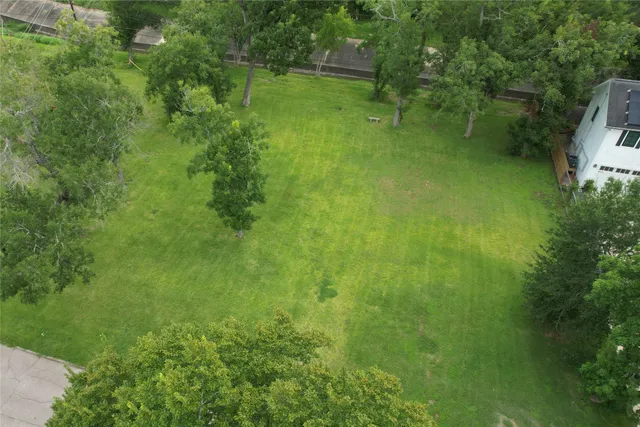 a view of a lush green space