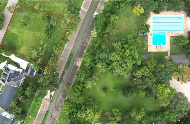 a view of a yard with plants and a bench