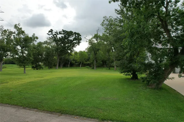 a view of a grassy field with trees