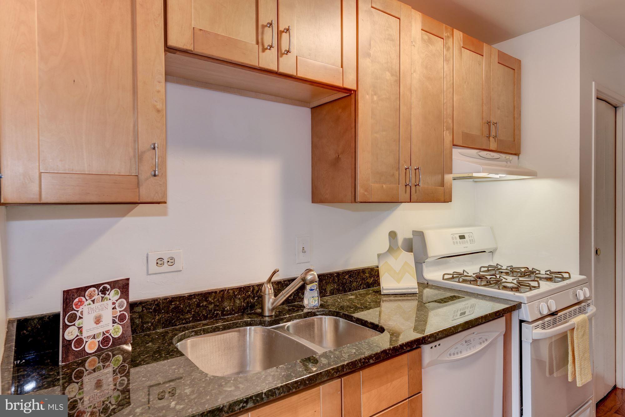 1900 Lyttonsville Road, Unit 306 Silver Spring, MD 20910 - Photo 12 of 27