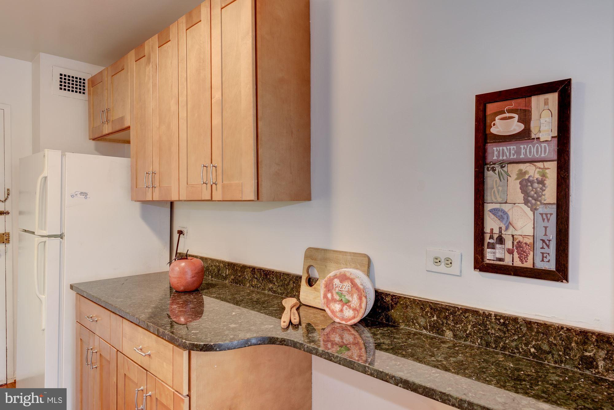 1900 Lyttonsville Road, Unit 306 Silver Spring, MD 20910 - Photo 14 of 27