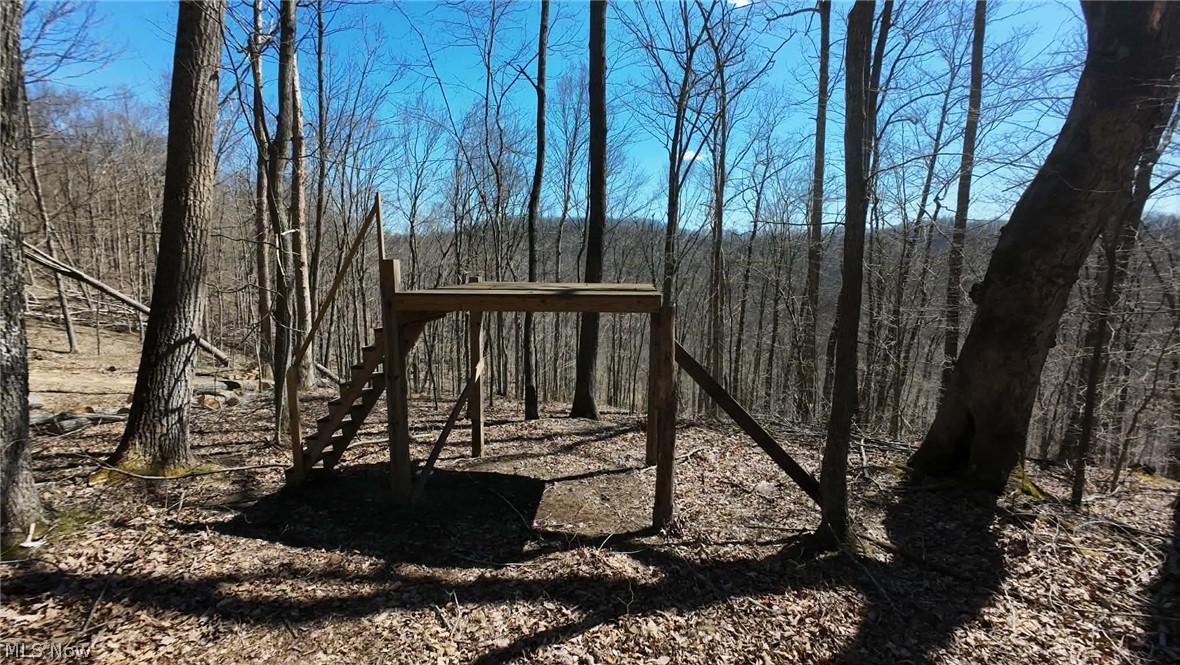 3593 Moore Fork Road Duck, WV 25063 - Photo 35 of 48