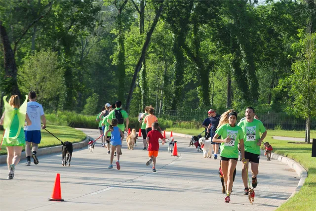 $480,476 | 10303 Tranquil Lk Drive, Missouri City, TX 77459