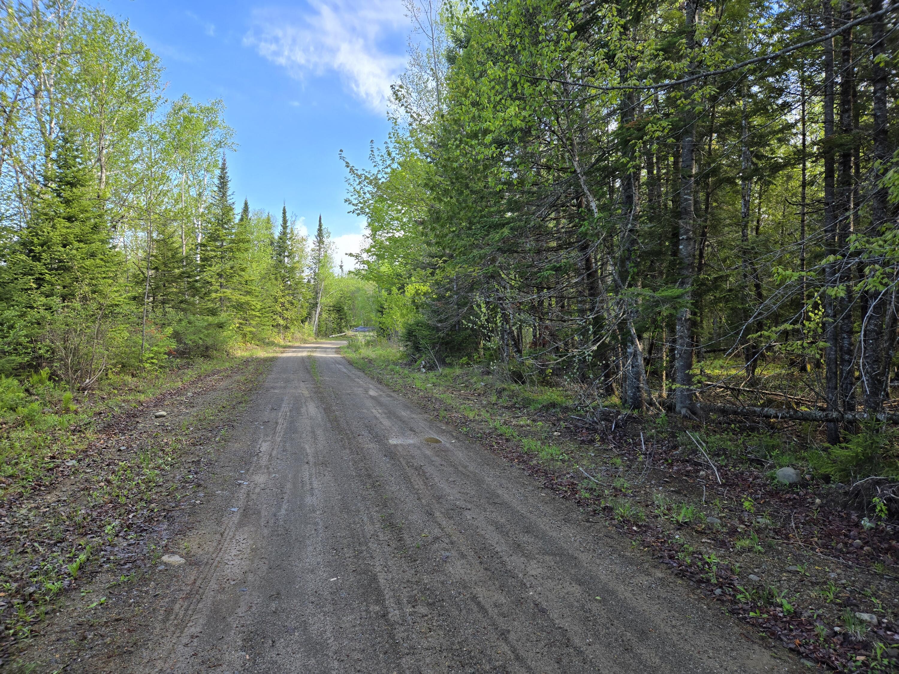 # Private Road Island Falls, ME 04747 - Photo 16 of 16 1000007497
