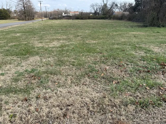 a view of outdoor space and yard
