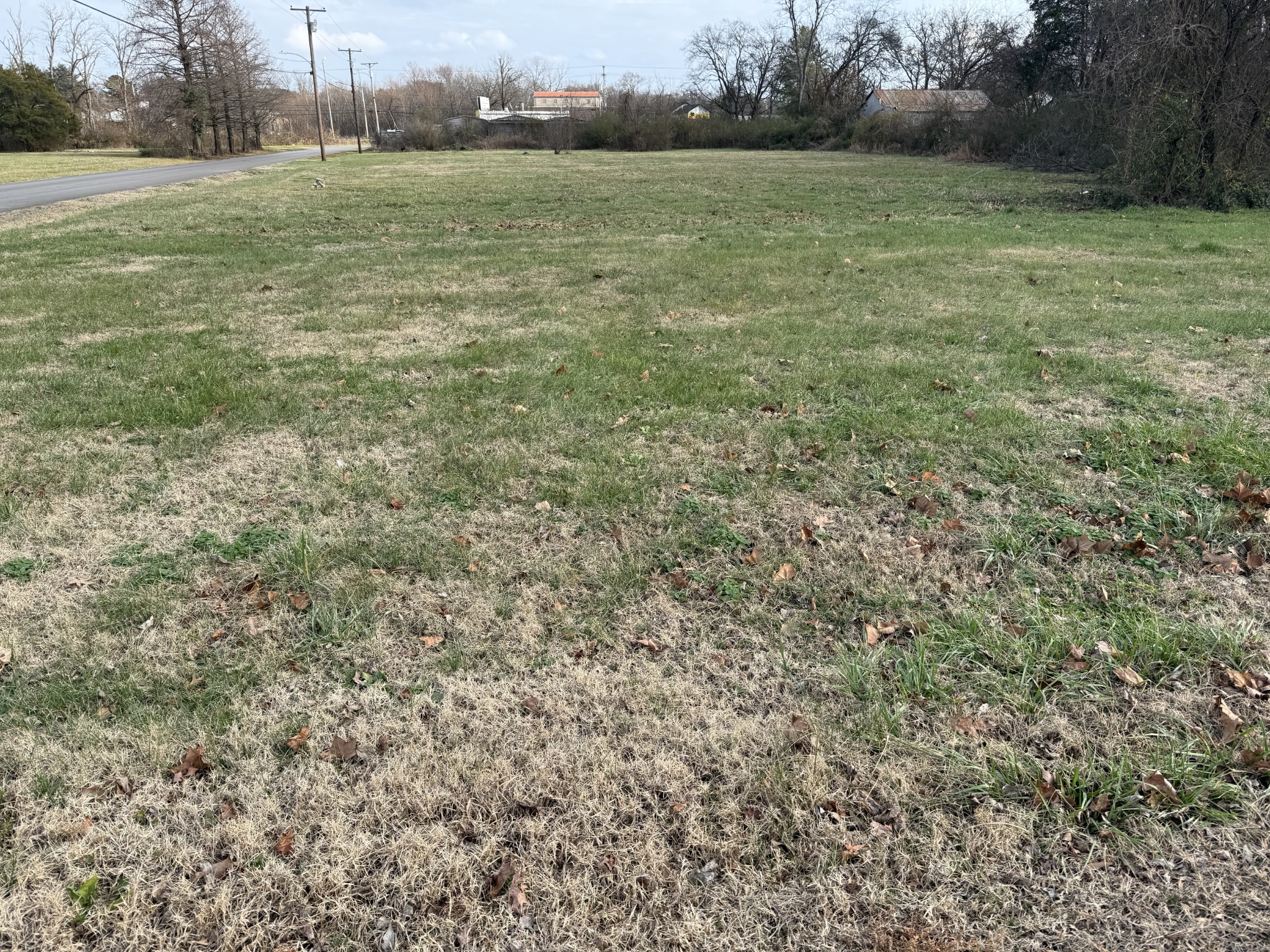 a view of outdoor space and yard