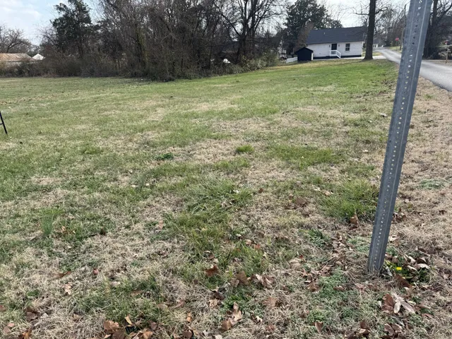 a view of a field with trees