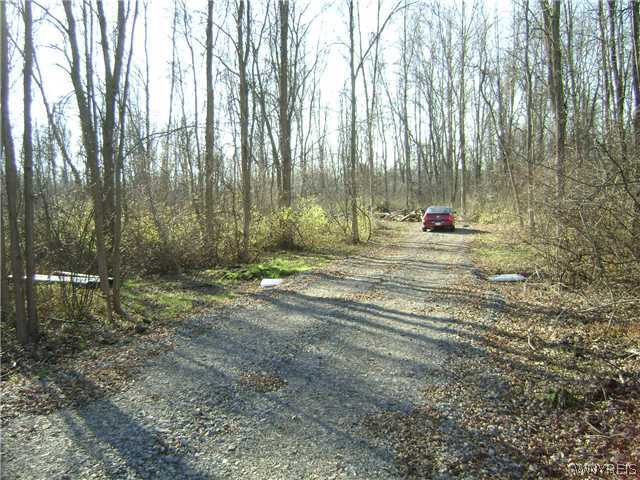 5498 Ridge Road Lockport Town, NY 14094 - Photo 1 of 1 Land. Entering property ... recently cleared to in