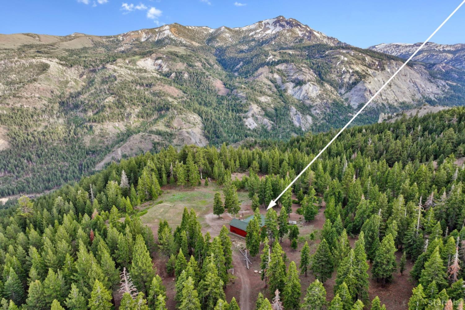 a view of a forest with a mountain and a forest