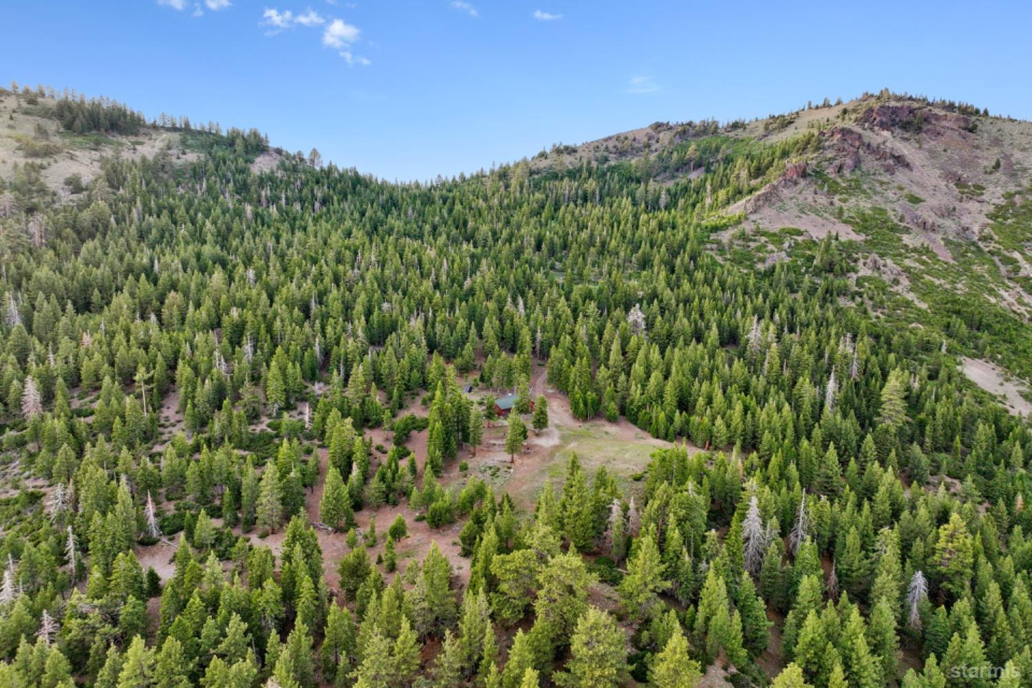 7000 Indian Creek Road Markleeville, CA 96120 - Photo 11 of 39 a view of a green field with lots of bushes