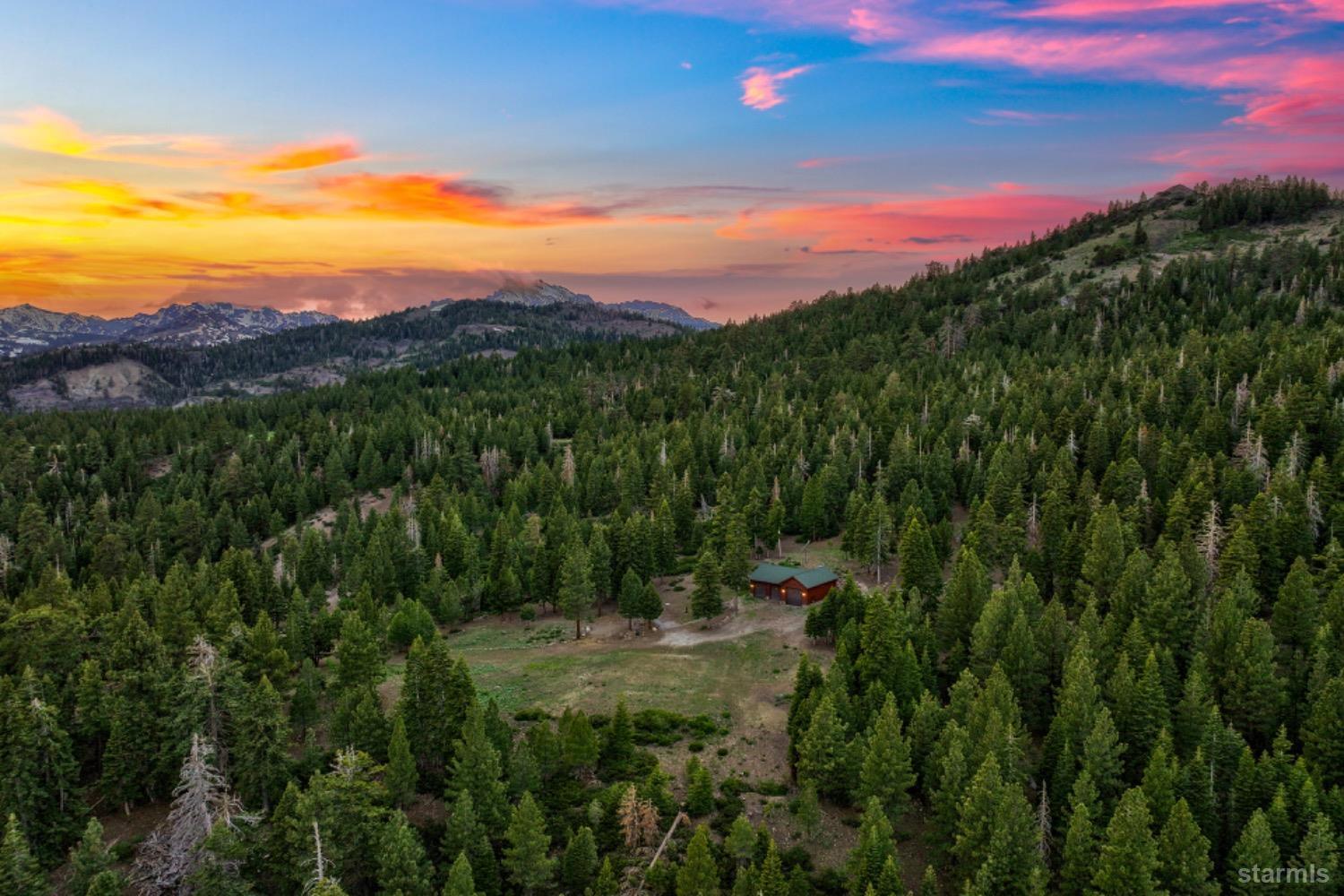 7000 Indian Creek Road Markleeville, CA 96120 - Photo 16 of 39 a view of a lush green forest with a house in the background