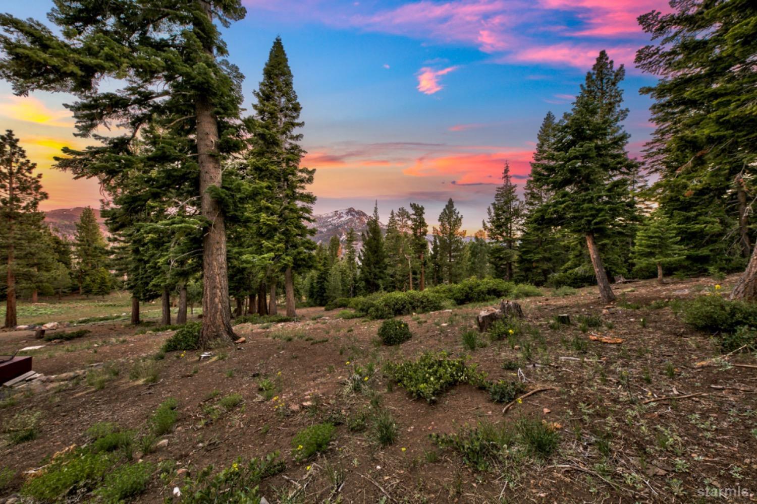 7000 Indian Creek Road Markleeville, CA 96120 - Photo 20 of 39 a view of a yard with a tree