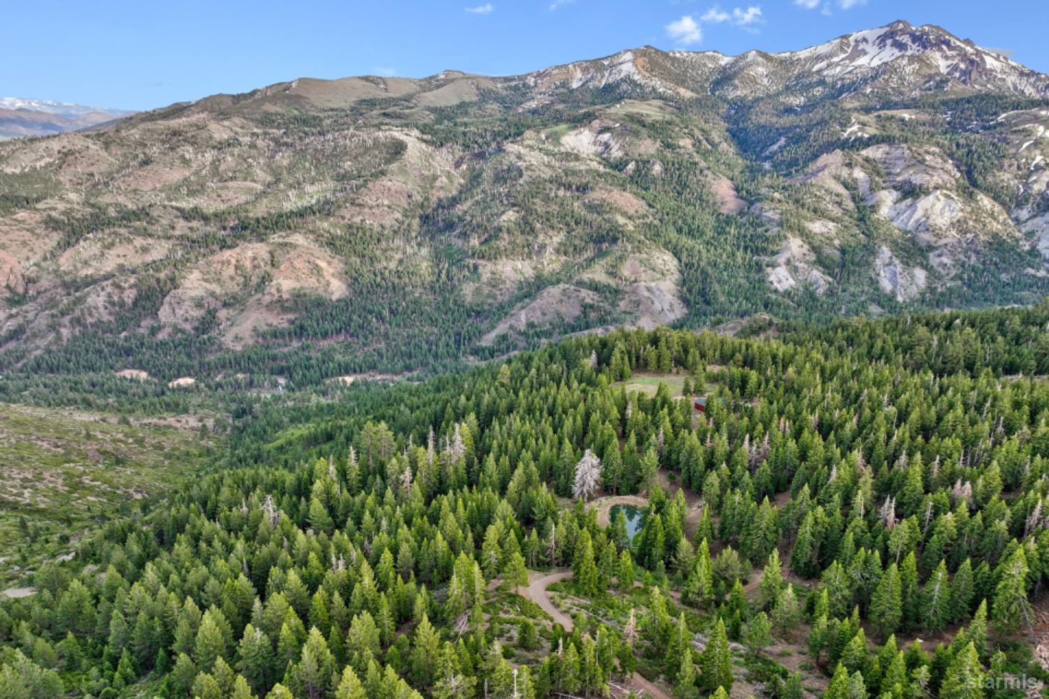 7000 Indian Creek Road Markleeville, CA 96120 - Photo 2 of 39 a view of a large tree