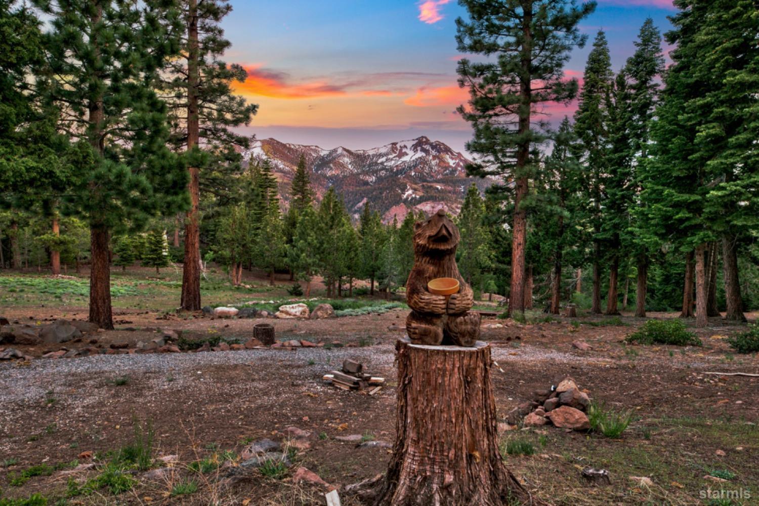 7000 Indian Creek Road Markleeville, CA 96120 - Photo 21 of 39 a view of a backyard with plants and a slide