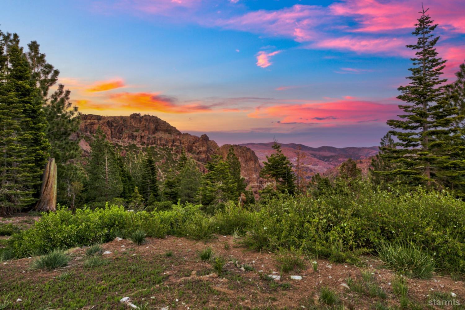7000 Indian Creek Road Markleeville, CA 96120 - Photo 24 of 39 a view of a city with lush green forest