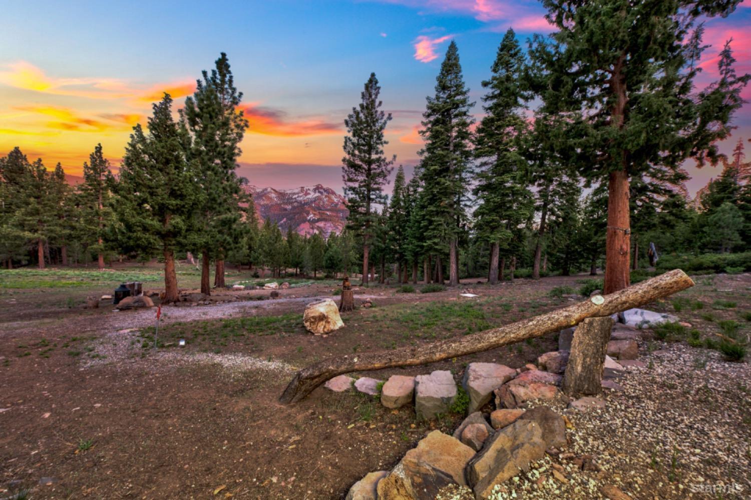7000 Indian Creek Road Markleeville, CA 96120 - Photo 26 of 39 a view of a backyard with trees