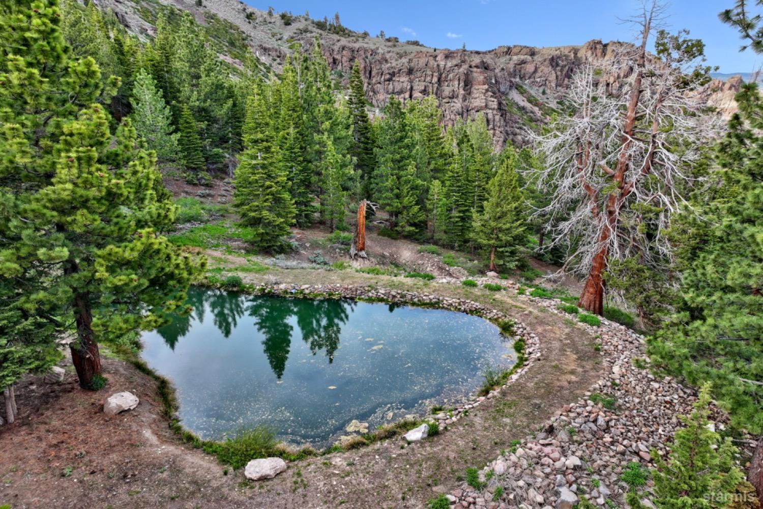 7000 Indian Creek Road Markleeville, CA 96120 - Photo 4 of 39 a view of a water pond with green space