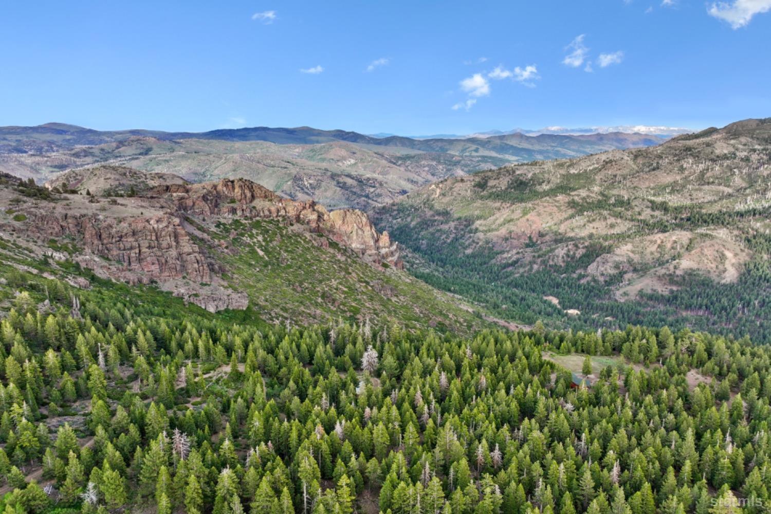 7000 Indian Creek Road Markleeville, CA 96120 - Photo 5 of 39 a view of a mountain in the distance in a field