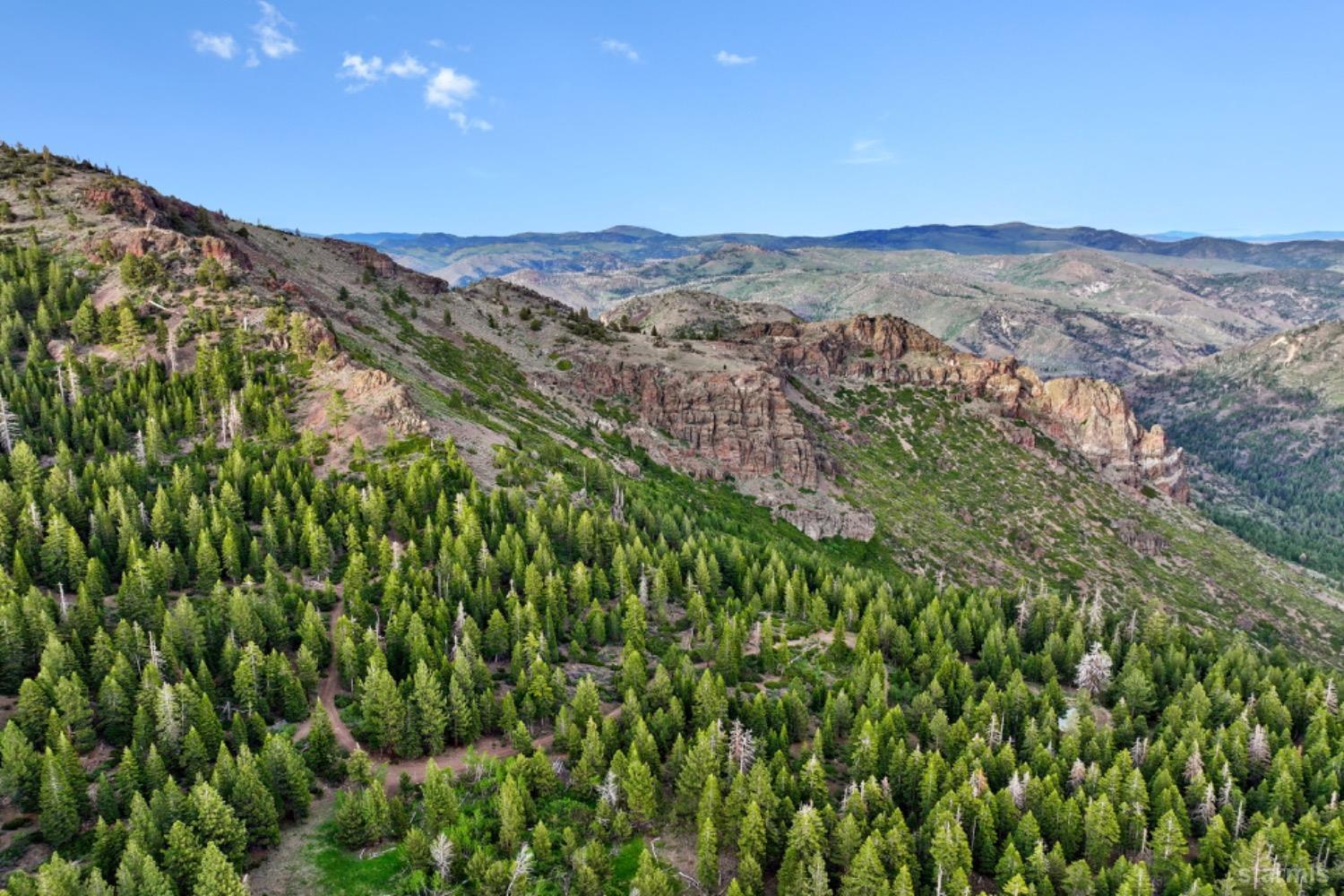 7000 Indian Creek Road Markleeville, CA 96120 - Photo 6 of 39 a view of a city