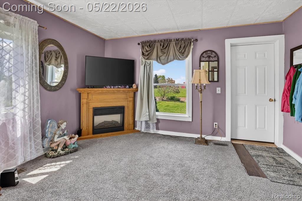 7950 Mayville Road Marlette, MI 48453 - Photo 6 of 50