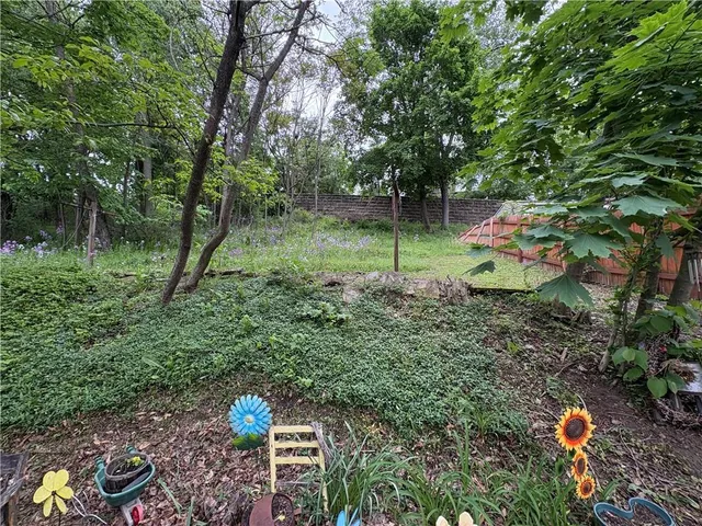 a backyard of a house with lots of green space