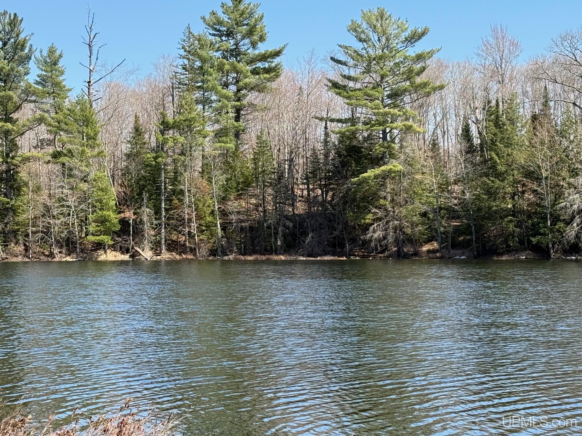 Tbdb Winona Road Toivola, MI 49965 - Photo 18 of 20