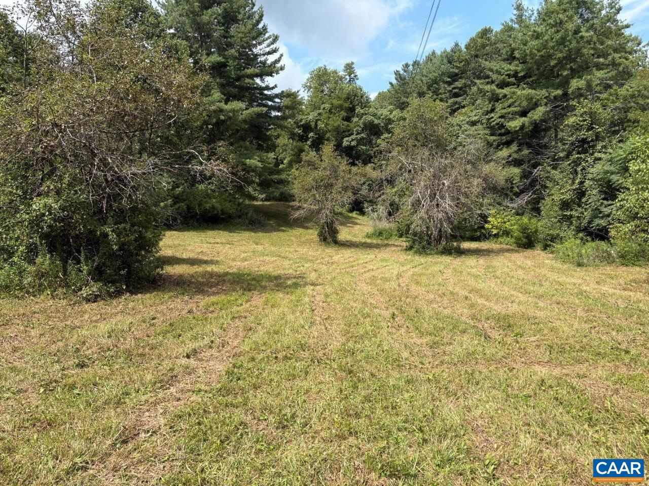 8947 Sugar Run Road Northeast Copper Hill, VA 24079 - Photo 19 of 28 a view of a yard with an trees