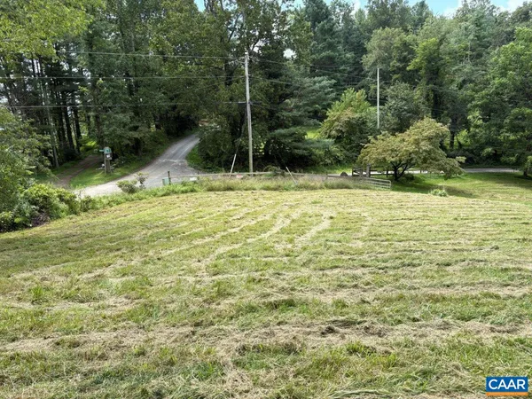 a view of a yard with a tree
