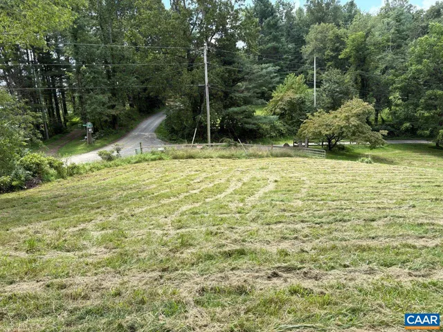 a view of a yard with a tree