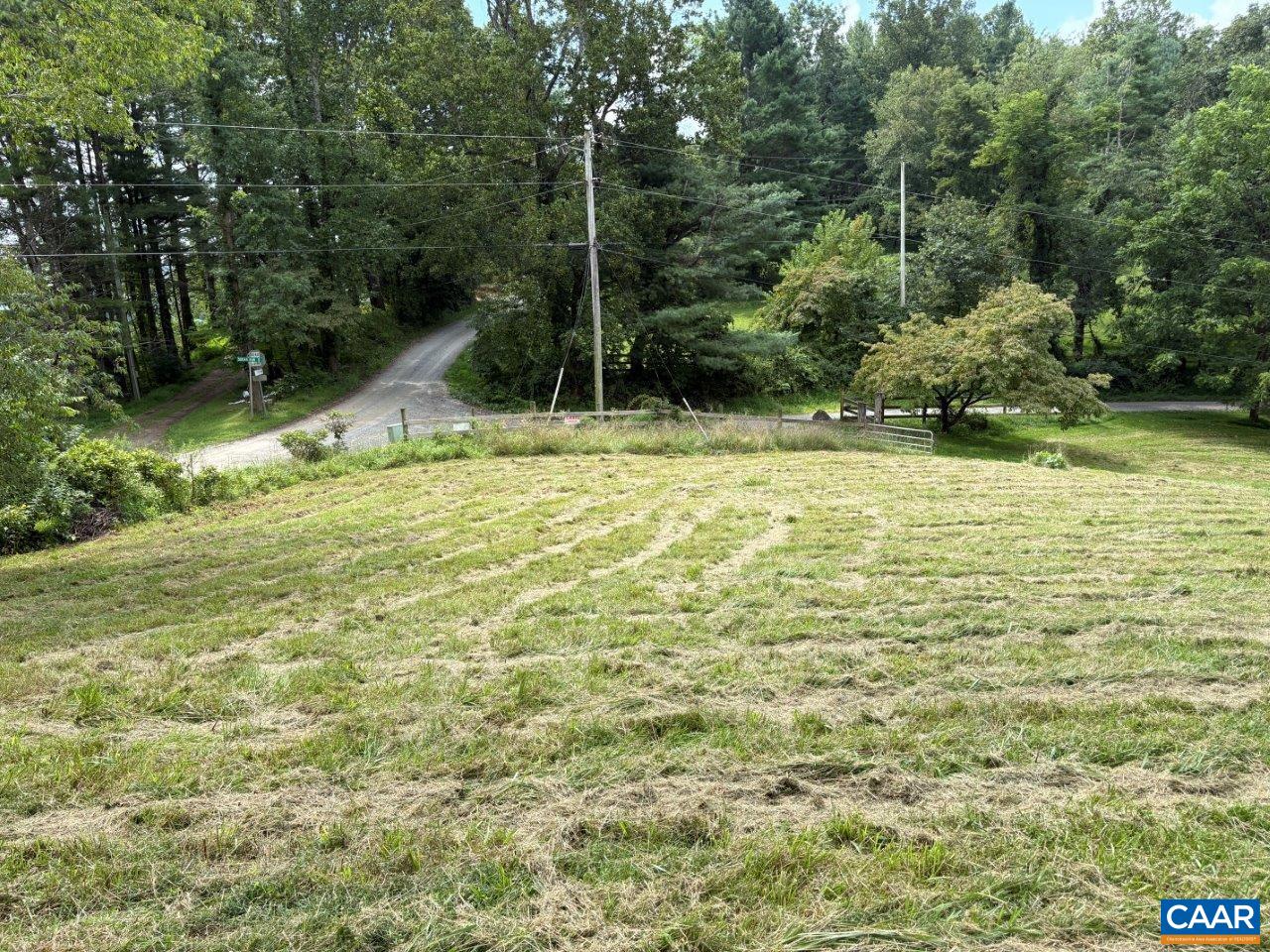 8947 Sugar Run Road Northeast Copper Hill, VA 24079 - Photo 23 of 28 a view of a yard with a tree