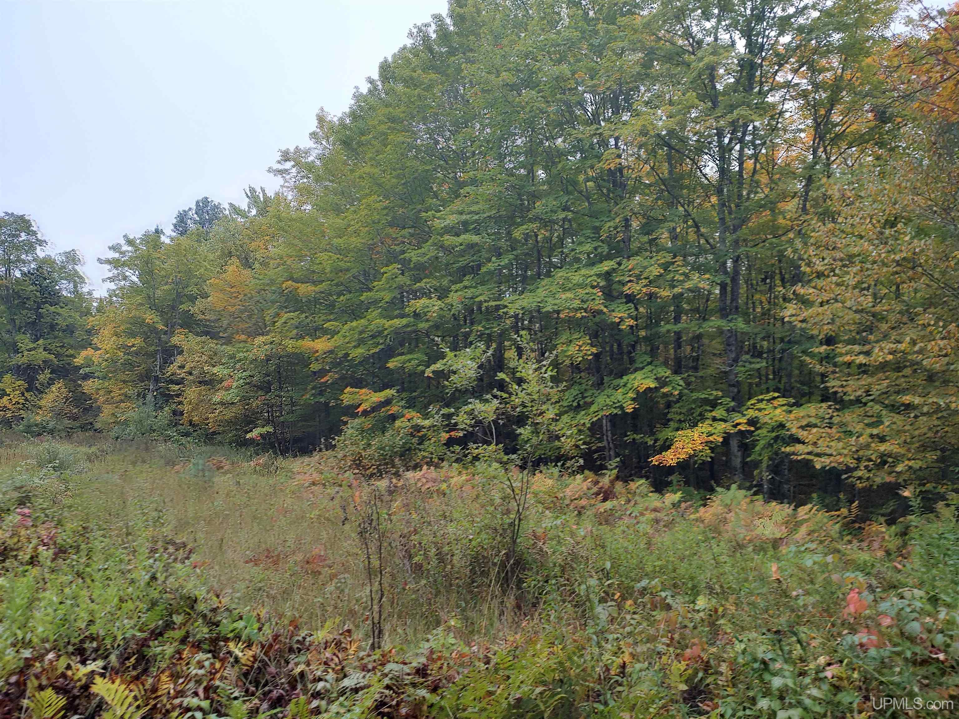 Tbd South Laird Road Pelkie, MI 49958 - Photo 2 of 25